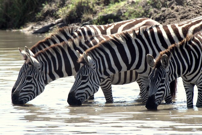 4 Days Masai Mara Camping Safari - Pricing Details