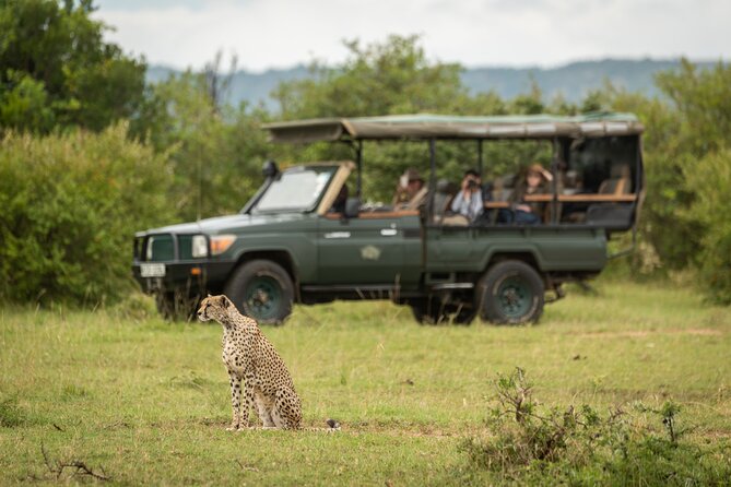 4 Days Private Lodge Safari - Customer Reviews