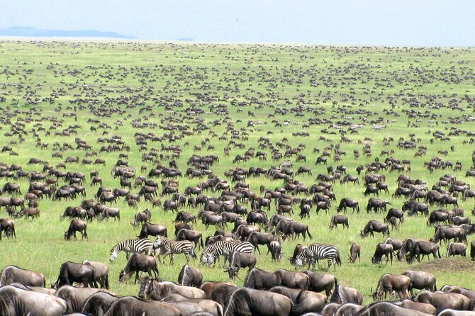 4 Days Tanzania National Parks Private Safari From Zanzibar - Pricing Details
