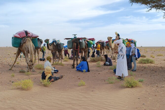 4 Days Trek - the Legs of Camels - Responsible Travel Practices