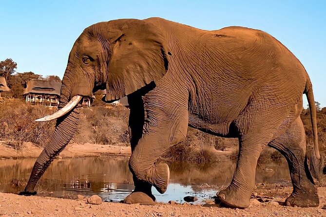 4 Days Victoria Falls Safari Tour & Chobe National Park Game Drive - Highlights of the Tour
