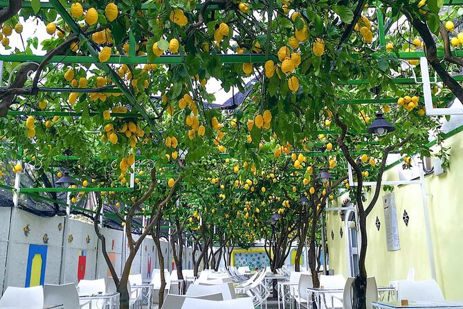 4 Hour Cruise on the Amalfi Coast With Aperitif and Lemontour - Whats Included in the Cruise