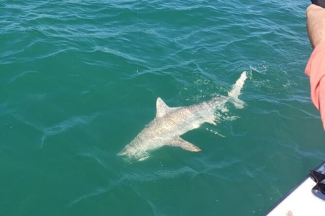 4-hour Fishing Adventure at Belleair Causeway - Cancellation and Booking Policies