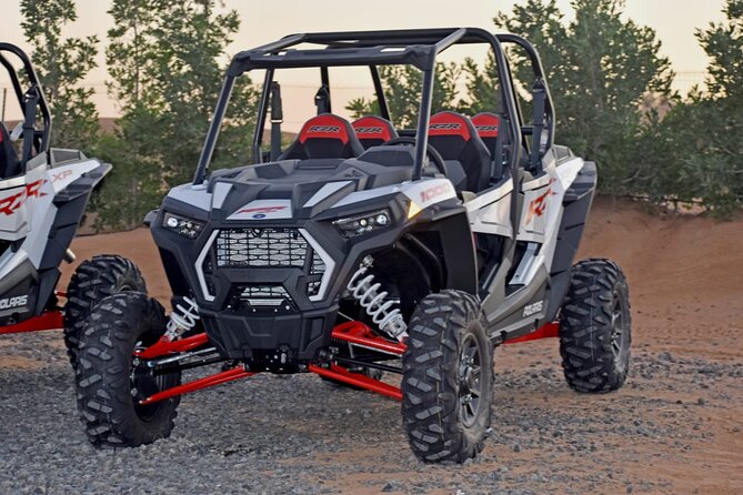 4-Hour Morning Safari With 60-Minute Buggy - Customer Experiences