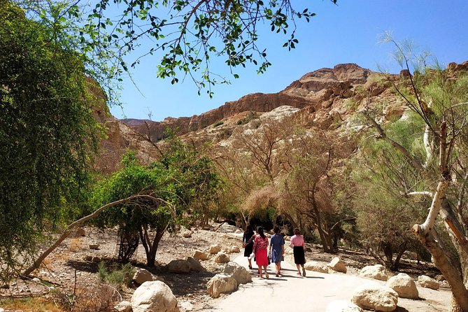 4WD Masada Ein Gedi Judea Desert Dead Sea Adventure 4x4 Tour. - Booking Process
