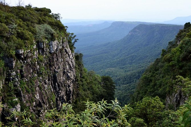5 Day Kruger National Park and Panorama Route Safari - Exploring Kruger National Park