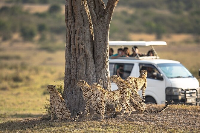 5-Day Lakes and Masai Mara Plains 4 X 4 Safari - Pricing Details and Inclusions