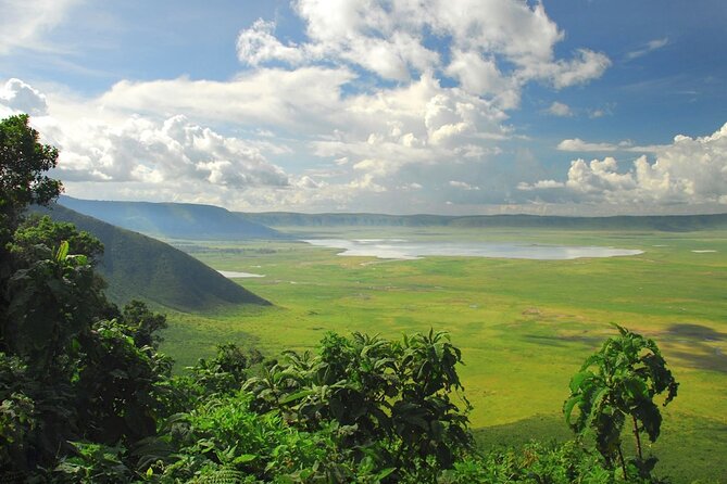 5 Day Private Guided Wildebeest Migration Tour - Wildlife Viewing Opportunities