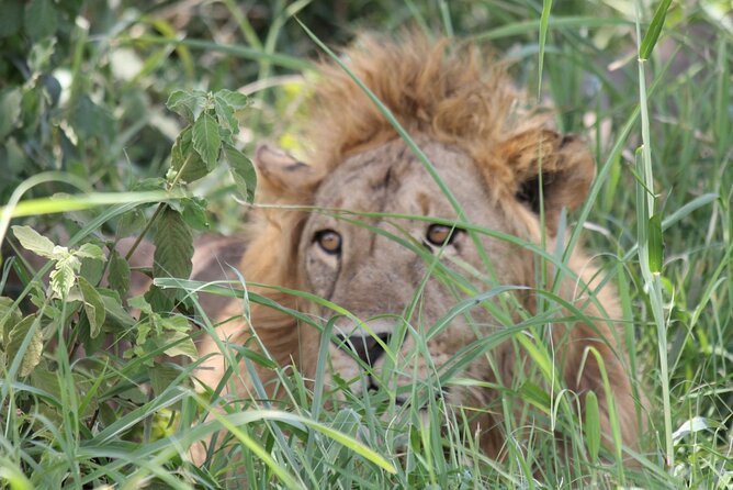 5 Day Tanzania Safari Camping Adventure Private Tour - Itinerary