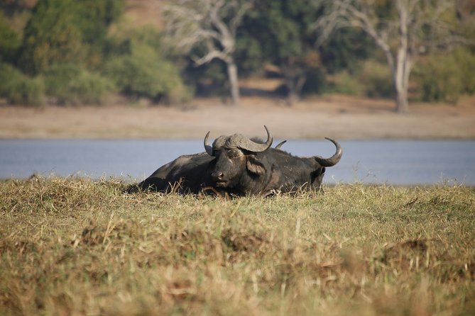 5 Day Victoria Falls and Chobe National Park Luxury Accommodated Tour - Booking and Cancellation Policy