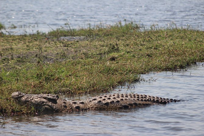 5-DAY Victoria Falls and Chobe National Park - Traveler Reviews and Feedback