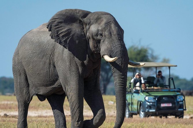 5 Day Victoria Falls and Hwange National Park Accommodated Safari Tour - Accommodations and Meals