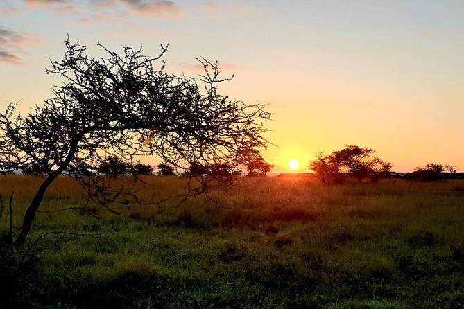 5 Days African Safaris - Safety Measures