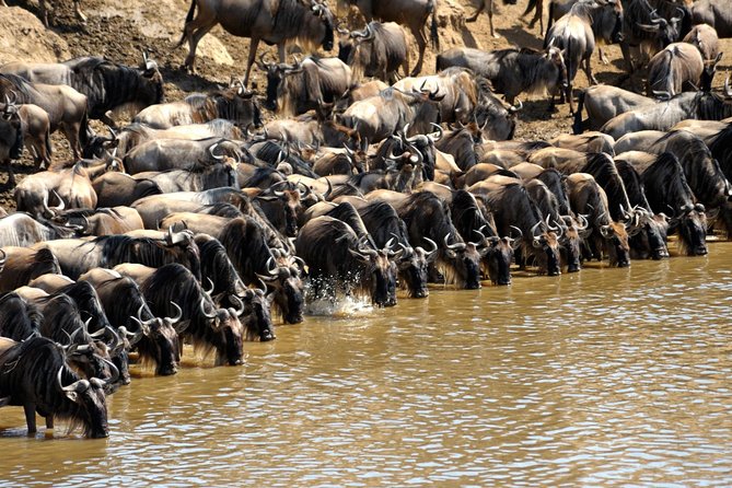 5 Days Hells Gate, L. Naivasha, L. Nakuru & Masai Mara Luxury Safari - Tour Inclusions