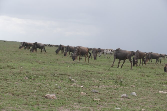 5 Days in to the Heart of Serengeti - What to Bring