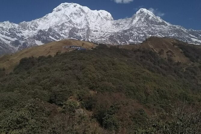 5 Days Mardi Himal Trek. - Reviews and Testimonials