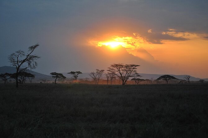 5 Days Northern Tanzania Safari- Lodging - Souvenir Photography Options