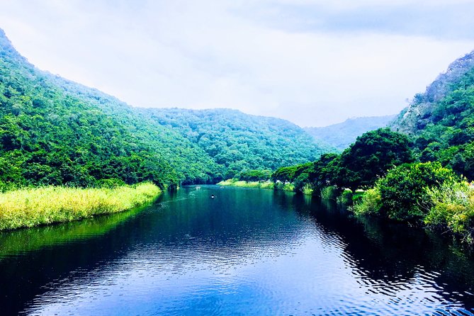 5 Days Private Guided Tour in Garden Route - Reviews and Ratings