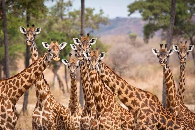 5 Days Ruaha National Park Safari - Exclusions and Extras