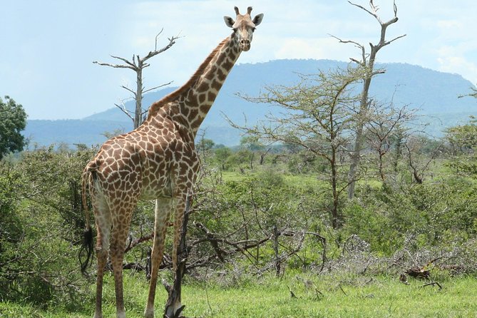 5 Days Safari to Selous & Mikumi - Packing and Preparations