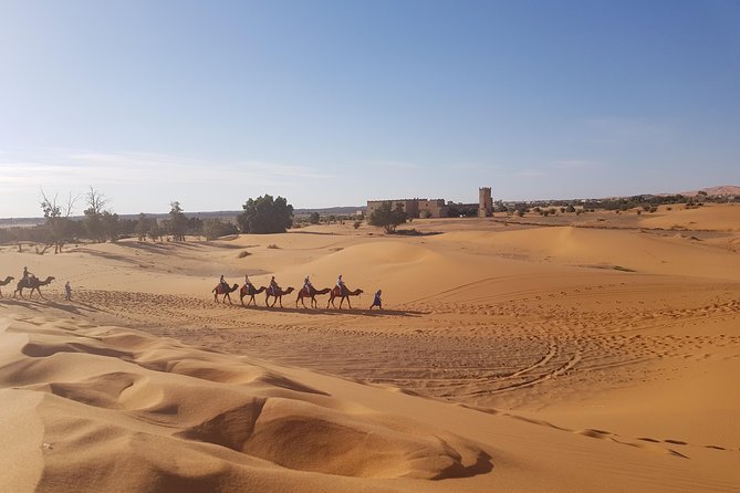 5 Days Tour From Fes - Itinerary and Daily Breakdown