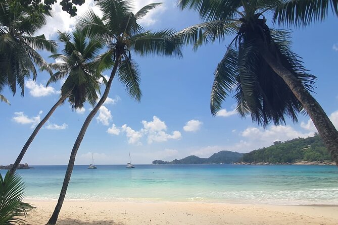 5 Hour Private Customize Tour of Mahe, Seychelles - Guest Reviews