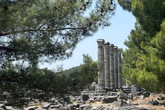 5 Hours Priene-Miletos-Didyma Customisable Private Tour - Additional Information