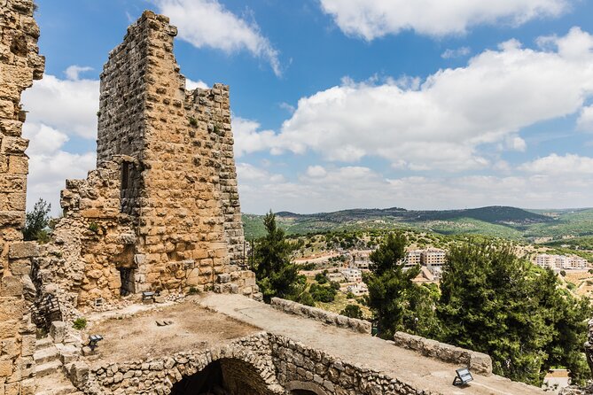 5-Night Private Magic Jordan Tour: Dead Sea, Mount Nebo, Amman, and Jerash - Feedback and Reviews