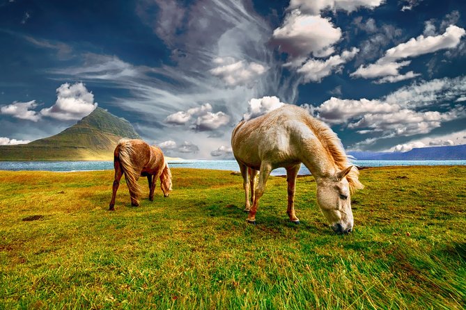 5DAY Pirvate Tour of ICELAND From Reykjavik - Traveler Information