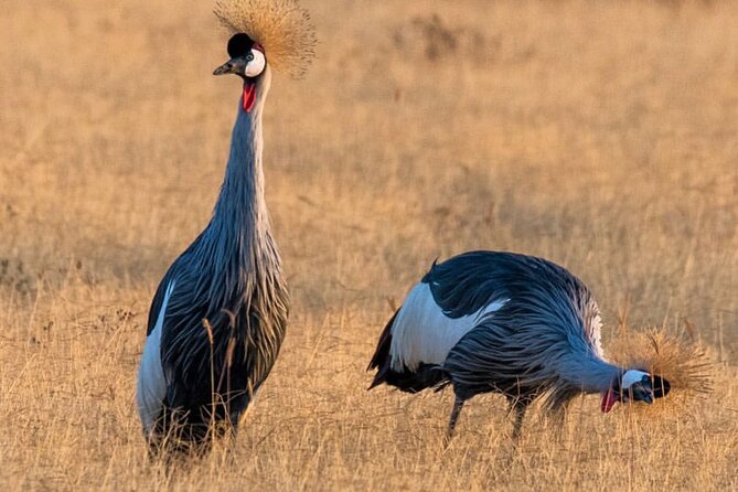6-Day Private Midrange Tour in Arusha With Airport Pickup - Arusha Attractions