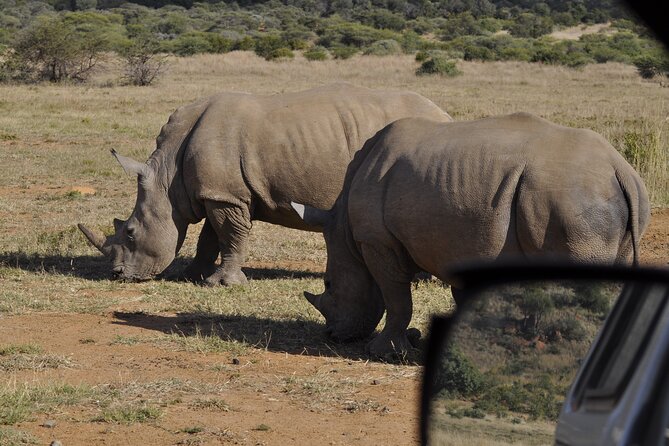 6-Day Private South to North Kruger National Park Tour - Customer Reviews