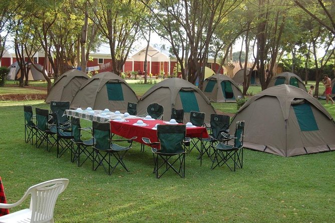 6-Day Tanzania Camping Safari: Lake Manyara, Serengeti, Ngorongoro Cater and Tarangire National Park From Arusha - Traveler Reviews and Feedback