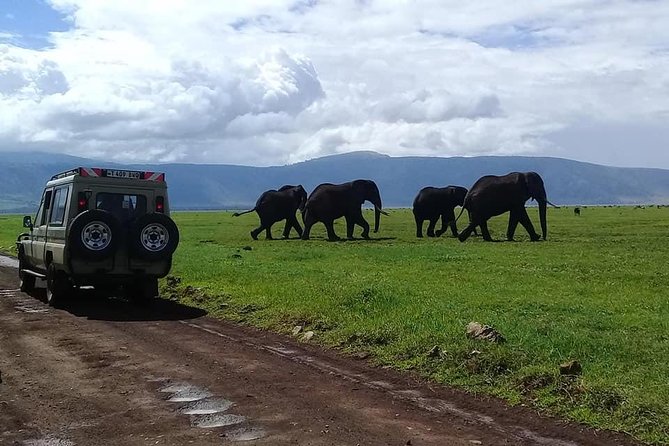 6 Days Budget Tanzania Camping Safari - Participant Accessibility