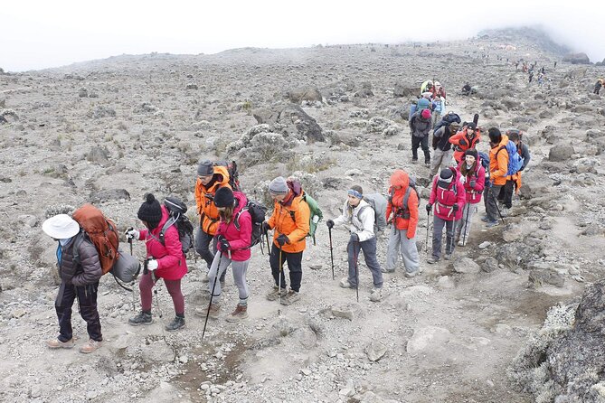 6 Days: Hiking Kilimanjaro via Machame Route - Preparation and Fitness