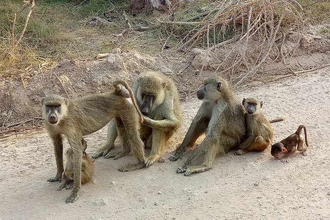 6 Days Kenya Safari - Booking Information