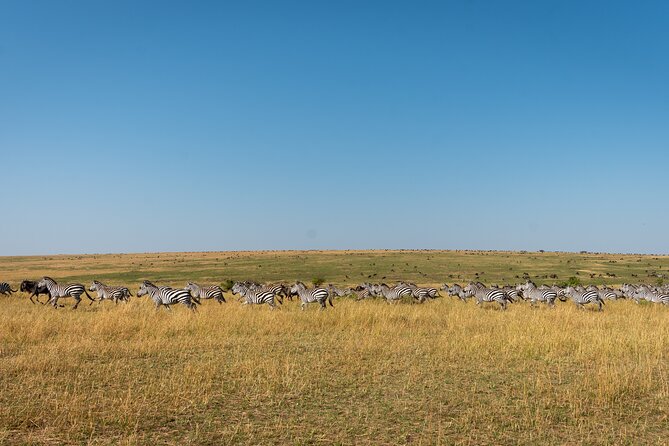 6 Days Private Safari Tour - Booking Process