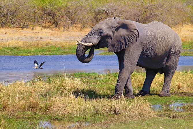 6 Days Safari : Manyara, Ngorongoro, Serengeti & Tarangire National Park - Pricing and Booking Details