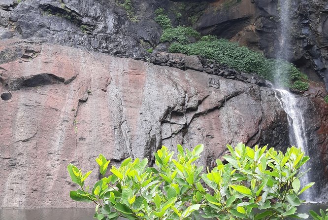 7 Cascades/Tamarind Falls Full Trek - Safety Considerations