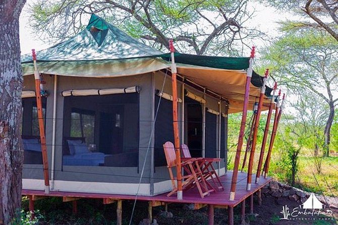 7-day Best of Tanzania Lodge Safari - Booking Information