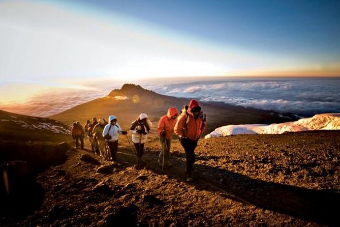 7-Day Kilimanjaro Climb Machame Route–The Best Path to Uhuru Peak - Encountering Kilimanjaros Diverse Landscapes