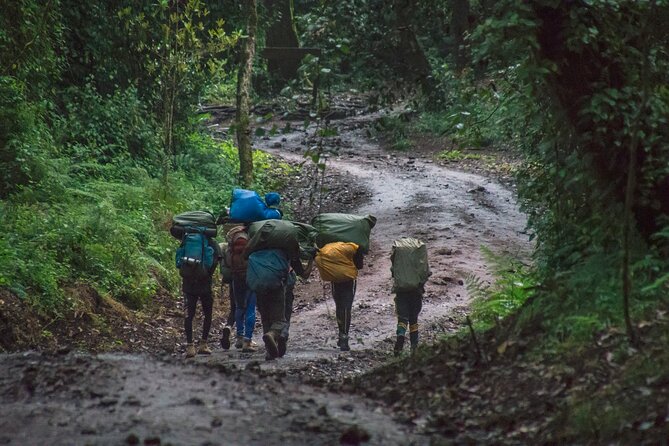 7 Day Kilimanjaro Machame Climb - Daily Itinerary Breakdown