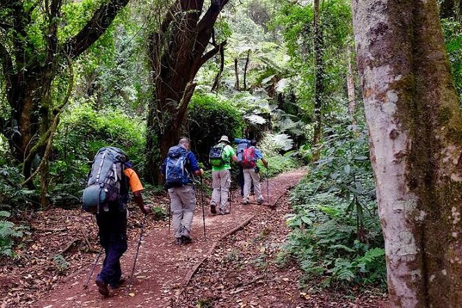 7-Day Machame Route Tour - Booking Your Tour