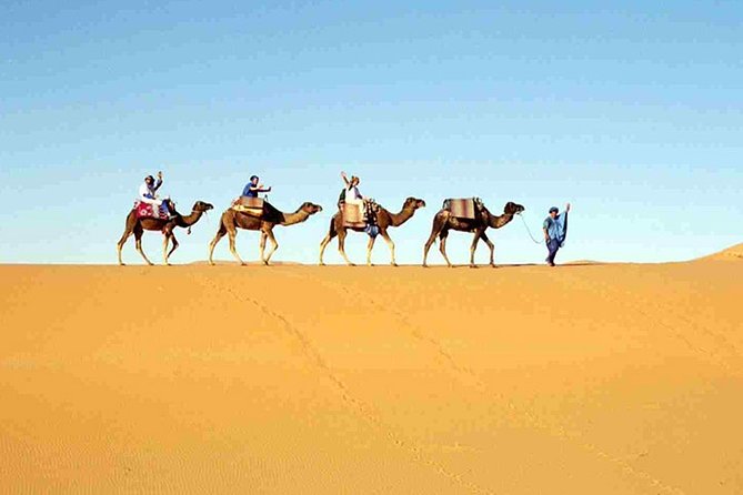 7-Day Private Guided Desert Tour From Casablanca to Marrakech - Customer Reviews