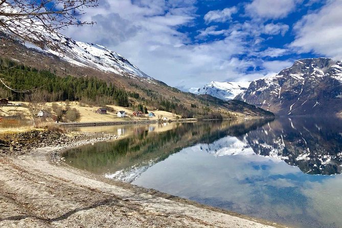 7-Day Scenic Scandinavian Tour From Oslo Exploring Denmark, Sweden and Fjords in Norway - Traveler Experiences and Feedback