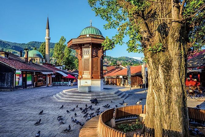 7 Days Balkan Tour to Historic Croatia and Bosnia Herzegovina - Accessibility Information