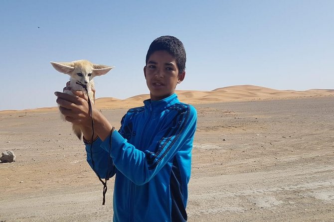 7-Days: Casablanca to Chefchaouen Then Fes and Sahara Desert - Camel Trekking - Scenic Stops Along the Way
