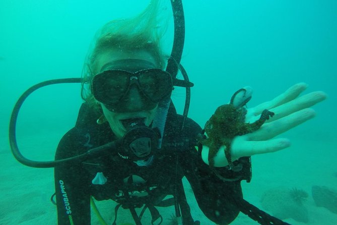 7 Days Diving and Hiking on the Galapagos Islands Tour - Wildlife Encounters