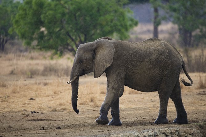 7 Days Safari. Serengeti, Tarangire, Lake Manyara & Ngorongoro Crater. - Booking Information
