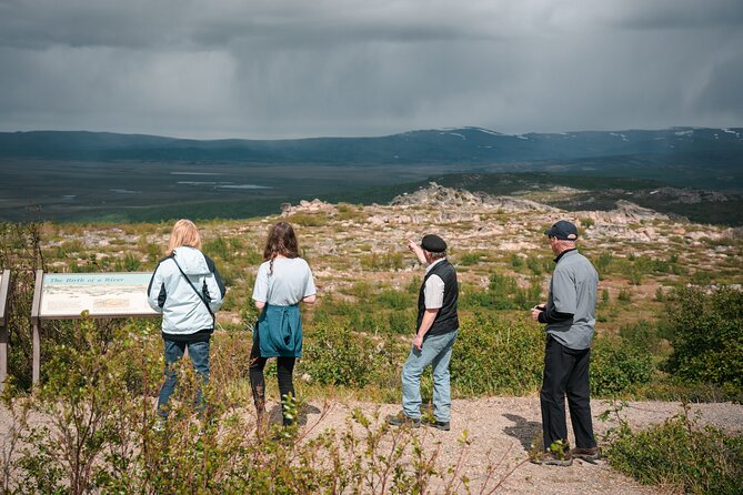 8-12 Hour Private Arctic Circle Experience in Alaska With Lunch - Exploring the Alaskan Landscape