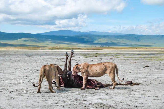 8 Days 7 Night Best Kenya and Tanzania Private Lodging Safari - Highlights of the Safari